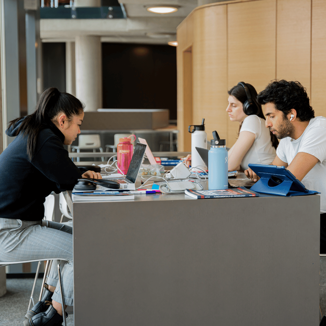 Students studying in a common study spot