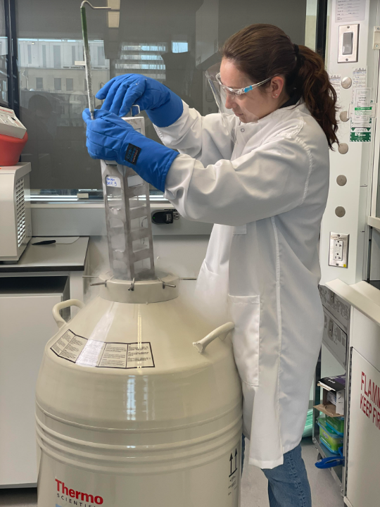 microbiology student pulling out samples in a lab