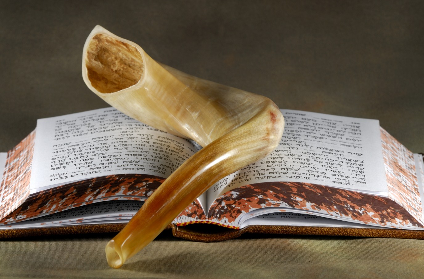 A close-up image of a shofar (ram's horn) resting on an open Hebrew prayer book. The shofar is positioned diagonally across the pages, with the Hebrew text clearly visible, symbolizing the Jewish High Holy Days, particularly Rosh Hashanah and Yom Kippur.