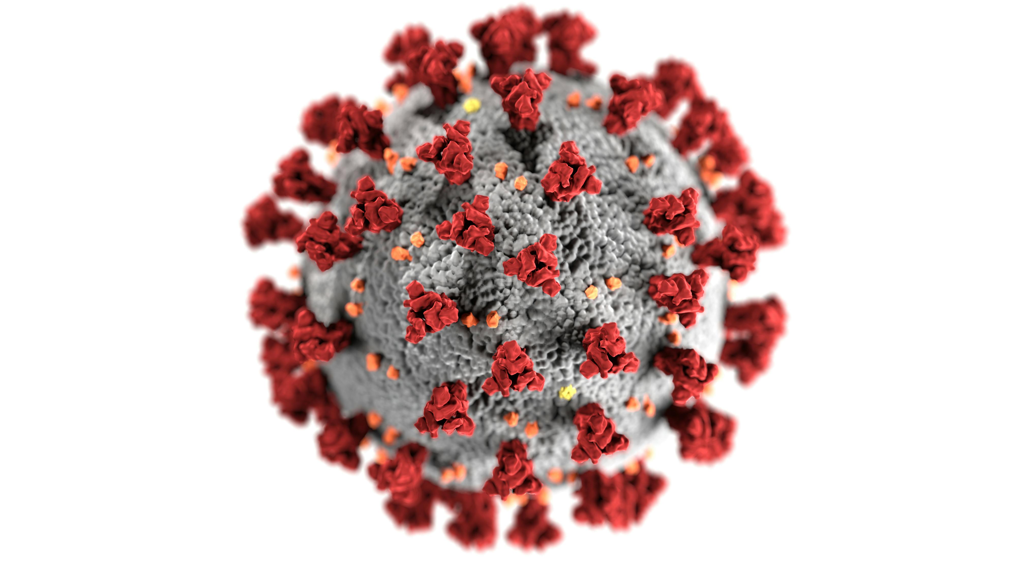 Graphic of the Covid-19 virus