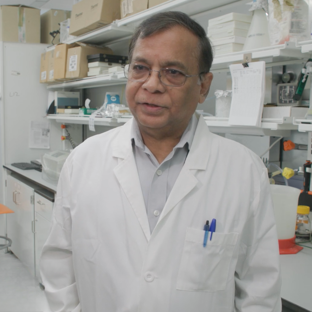 Dr. Nirbhay Kumar