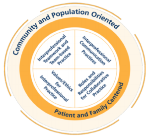 IPEC Core Competencies wheel