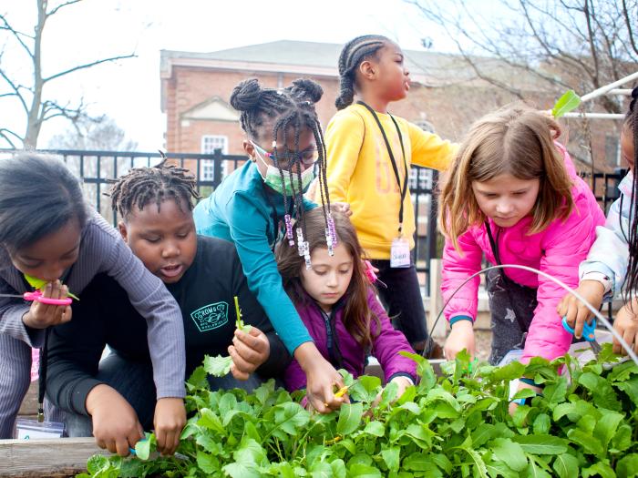 Children working in a garden